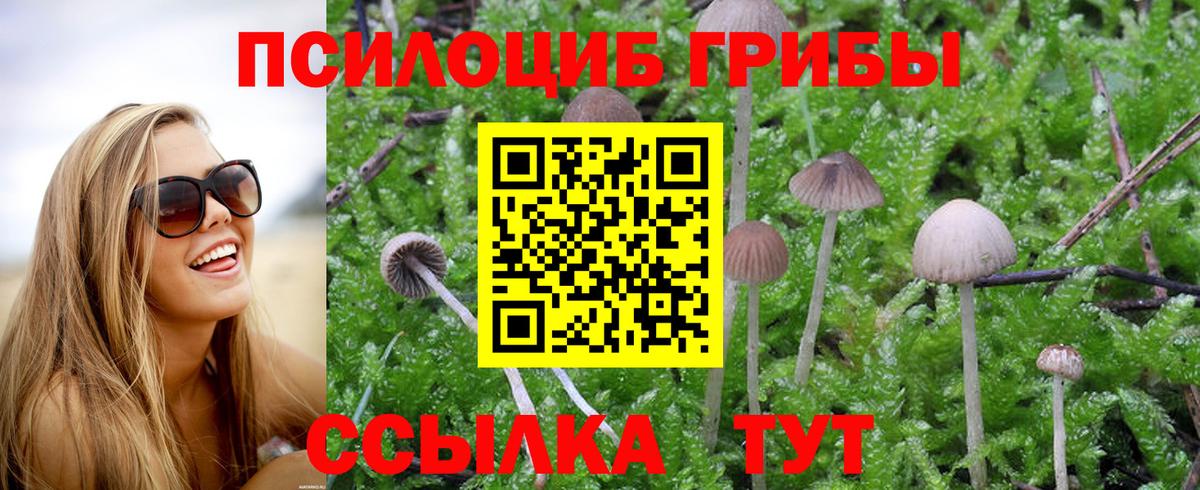 Псилоцибиновые грибы мухоморы  Вход с VPN  Дербент 